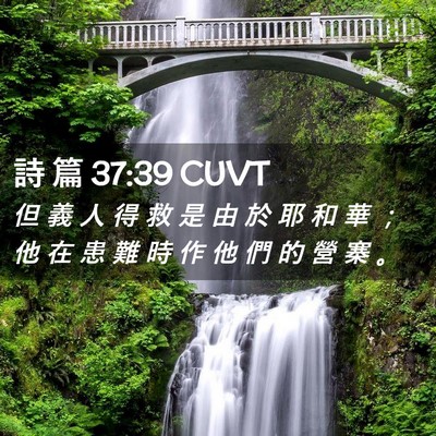 Picture 02 - 詩 篇 37:39 CUVT - 但 義 人 得 救 是 由 於 耶 和 華 ； - Bible Verse Picture