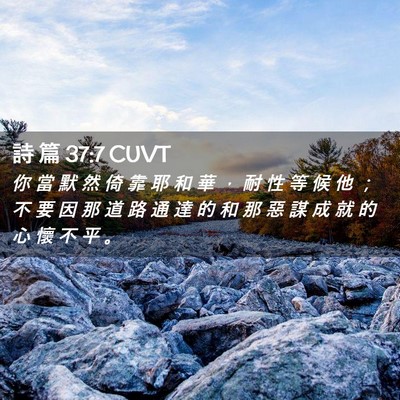 Picture 02 - 詩 篇 37:7 CUVT - 你 當 默 然 倚 靠 耶 和 華 ， 耐 性 - Bible Verse Picture