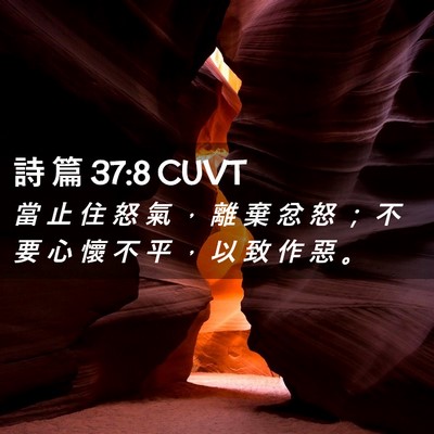 Picture 02 - 詩 篇 37:8 CUVT - 當 止 住 怒 氣 ， 離 棄 忿 怒 ； 不 - Bible Verse Picture