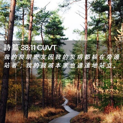 Picture 02 - 詩 篇 38:11 CUVT - 我 的 良 朋 密 友 因 我 的 災 病 都 - Bible Verse Picture