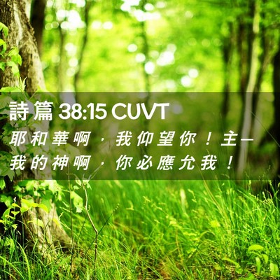 Picture 02 - 詩 篇 38:15 CUVT - 耶 和 華 啊 ， 我 仰 望 你 ！ 主 ─ - Bible Verse Picture