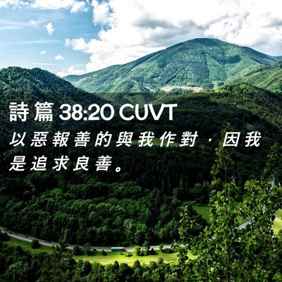 Picture 02 - 詩 篇 38:20 CUVT - 以 惡 報 善 的 與 我 作 對 ， 因 我 - Bible Verse Picture
