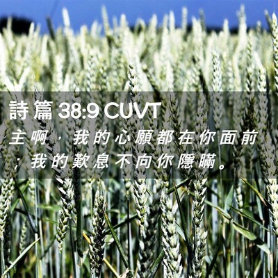 Picture 02 - 詩 篇 38:9 CUVT - 主 啊 ， 我 的 心 願 都 在 你 面 前 - Bible Verse Picture