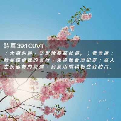 Picture 02 - 詩 篇 39:1 CUVT - （ 大 衛 的 詩 ， 交 與 伶 長 耶 杜 - Bible Verse Picture