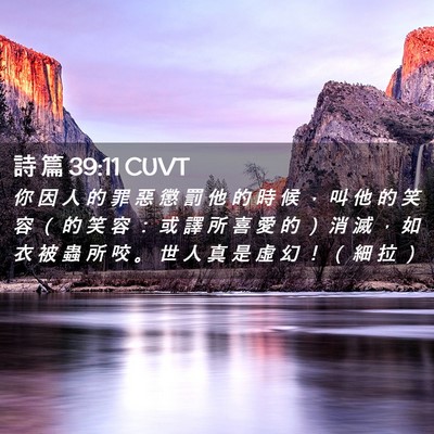 Picture 02 - 詩 篇 39:11 CUVT - 你 因 人 的 罪 惡 懲 罰 他 的 時 候 - Bible Verse Picture
