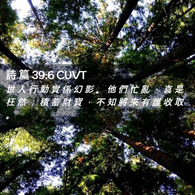Picture 02 - 詩 篇 39:6 CUVT - 世 人 行 動 實 係 幻 影 。 他 們 忙 - Bible Verse Picture