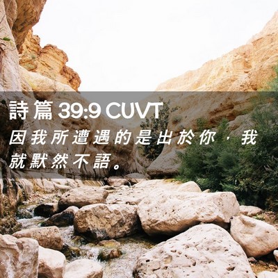 Picture 02 - 詩 篇 39:9 CUVT - 因 我 所 遭 遇 的 是 出 於 你 ， 我 - Bible Verse Picture