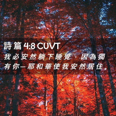 Picture 02 - 詩 篇 4:8 CUVT - 我 必 安 然 躺 下 睡 覺 ， 因 為 獨 - Bible Verse Picture