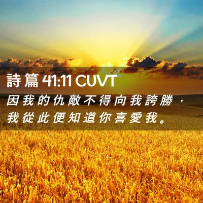Picture 02 - 詩 篇 41:11 CUVT - 因 我 的 仇 敵 不 得 向 我 誇 勝 ， - Bible Verse Picture