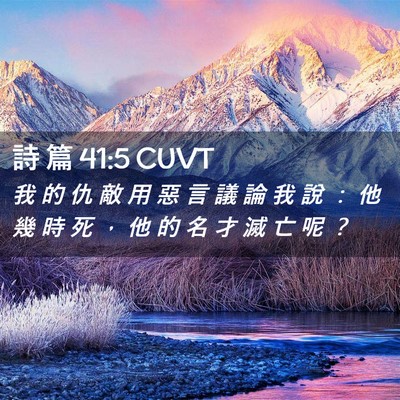 Picture 02 - 詩 篇 41:5 CUVT - 我 的 仇 敵 用 惡 言 議 論 我 說 ： - Bible Verse Picture