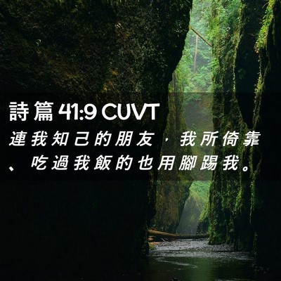 Picture 02 - 詩 篇 41:9 CUVT - 連 我 知 己 的 朋 友 ， 我 所 倚 靠 - Bible Verse Picture