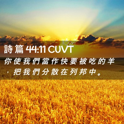 Picture 02 - 詩 篇 44:11 CUVT - 你 使 我 們 當 作 快 要 被 吃 的 羊 - Bible Verse Picture