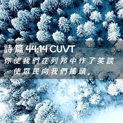 Picture 02 - 詩 篇 44:14 CUVT - 你 使 我 們 在 列 邦 中 作 了 笑 談 - Bible Verse Picture