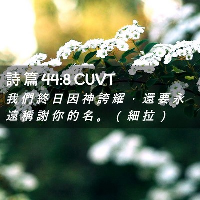 Picture 02 - 詩 篇 44:8 CUVT - 我 們 終 日 因 神 誇 耀 ， 還 要 永 - Bible Verse Picture
