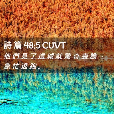 Picture 02 - 詩 篇 48:5 CUVT - 他 們 見 了 這 城 就 驚 奇 喪 膽 ， - Bible Verse Picture