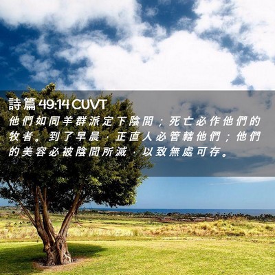 Picture 02 - 詩 篇 49:14 CUVT - 他 們 如 同 羊 群 派 定 下 陰 間 ； - Bible Verse Picture