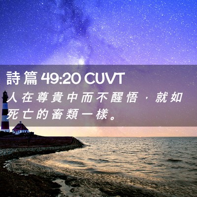 Picture 02 - 詩 篇 49:20 CUVT - 人 在 尊 貴 中 而 不 醒 悟 ， 就 如 - Bible Verse Picture