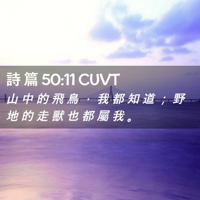 Picture 02 - 詩 篇 50:11 CUVT - 山 中 的 飛 鳥 ， 我 都 知 道 ； 野 - Bible Verse Picture