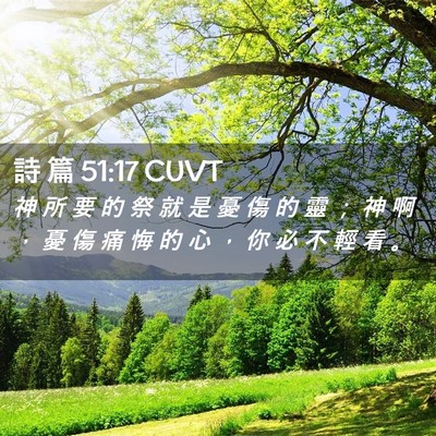 Picture 02 - 詩 篇 51:17 CUVT - 神 所 要 的 祭 就 是 憂 傷 的 靈 ； - Bible Verse Picture