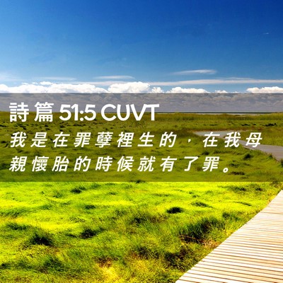 Picture 02 - 詩 篇 51:5 CUVT - 我 是 在 罪 孽 裡 生 的 ， 在 我 母 - Bible Verse Picture
