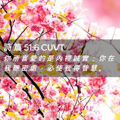 Picture 02 - 詩 篇 51:6 CUVT - 你 所 喜 愛 的 是 內 裡 誠 實 ； 你 - Bible Verse Picture
