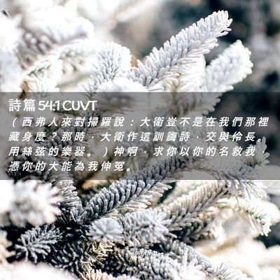 Picture 02 - 詩 篇 54:1 CUVT - （ 西 弗 人 來 對 掃 羅 說 ： 大 衛 - Bible Verse Picture
