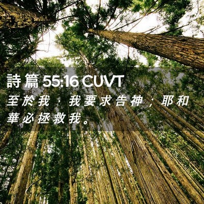 Picture 02 - 詩 篇 55:16 CUVT - 至 於 我 ， 我 要 求 告 神 ； 耶 和 - Bible Verse Picture