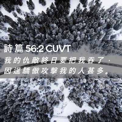 Picture 02 - 詩 篇 56:2 CUVT - 我 的 仇 敵 終 日 要 把 我 吞 了 ， - Bible Verse Picture