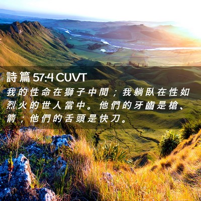 Picture 02 - 詩 篇 57:4 CUVT - 我 的 性 命 在 獅 子 中 間 ； 我 躺 - Bible Verse Picture