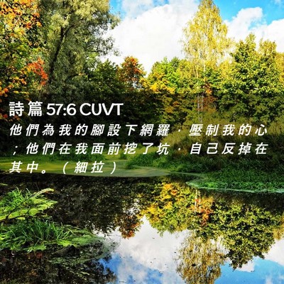 Picture 02 - 詩 篇 57:6 CUVT - 他 們 為 我 的 腳 設 下 網 羅 ， 壓 - Bible Verse Picture