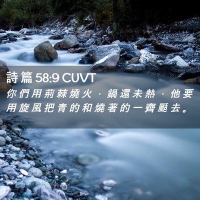 Picture 02 - 詩 篇 58:9 CUVT - 你 們 用 荊 棘 燒 火 ， 鍋 還 未 熱 - Bible Verse Picture