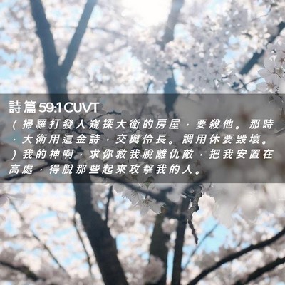 Picture 02 - 詩 篇 59:1 CUVT - （ 掃 羅 打 發 人 窺 探 大 衛 的 房 - Bible Verse Picture