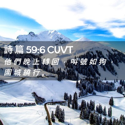 Picture 02 - 詩 篇 59:6 CUVT - 他 們 晚 上 轉 回 ， 叫 號 如 狗 ， - Bible Verse Picture