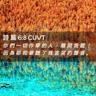 Picture 02 - 詩 篇 6:8 CUVT - 你 們 一 切 作 孽 的 人 ， 離 開 我 - Bible Verse Picture