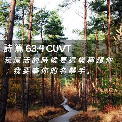 Picture 02 - 詩 篇 63:4 CUVT - 我 還 活 的 時 候 要 這 樣 稱 頌 你 - Bible Verse Picture