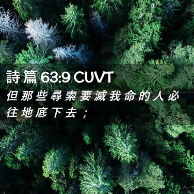Picture 02 - 詩 篇 63:9 CUVT - 但 那 些 尋 索 要 滅 我 命 的 人 必 - Bible Verse Picture