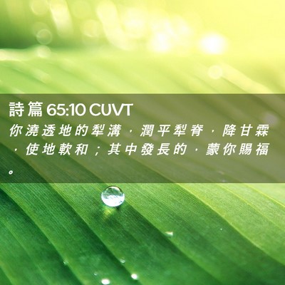 Picture 02 - 詩 篇 65:10 CUVT - 你 澆 透 地 的 犁 溝 ， 潤 平 犁 脊 - Bible Verse Picture