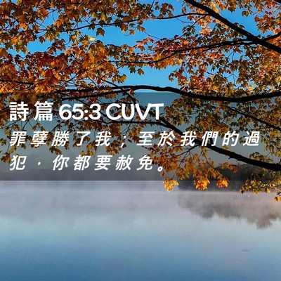 Picture 02 - 詩 篇 65:3 CUVT - 罪 孽 勝 了 我 ； 至 於 我 們 的 過 - Bible Verse Picture
