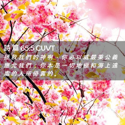 Picture 02 - 詩 篇 65:5 CUVT - 拯 救 我 們 的 神 啊 ， 你 必 以 威 - Bible Verse Picture