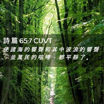 Picture 02 - 詩 篇 65:7 CUVT - 使 諸 海 的 響 聲 和 其 中 波 浪 的 - Bible Verse Picture