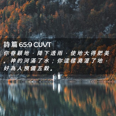 Picture 02 - 詩 篇 65:9 CUVT - 你 眷 顧 地 ， 降 下 透 雨 ， 使 地 - Bible Verse Picture