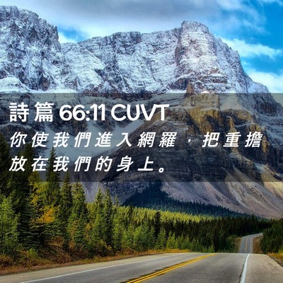 Picture 02 - 詩 篇 66:11 CUVT - 你 使 我 們 進 入 網 羅 ， 把 重 擔 - Bible Verse Picture