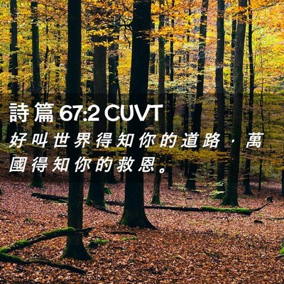 Picture 02 - 詩 篇 67:2 CUVT - 好 叫 世 界 得 知 你 的 道 路 ， 萬 - Bible Verse Picture