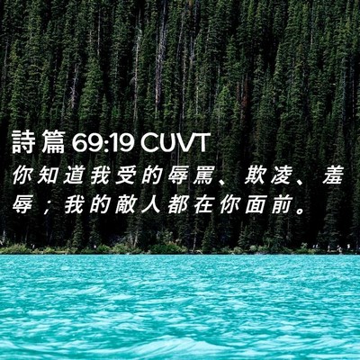 Picture 02 - 詩 篇 69:19 CUVT - 你 知 道 我 受 的 辱 罵 、 欺 凌 、 - Bible Verse Picture
