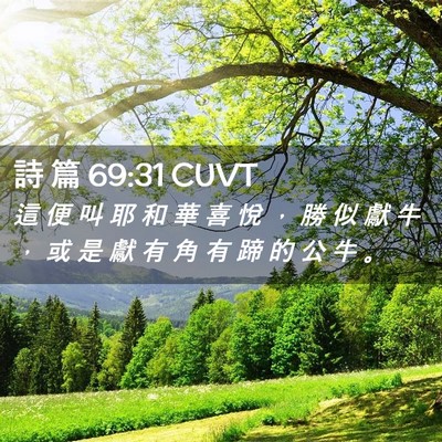 Picture 02 - 詩 篇 69:31 CUVT - 這 便 叫 耶 和 華 喜 悅 ， 勝 似 獻 - Bible Verse Picture