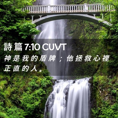 Picture 02 - 詩 篇 7:10 CUVT - 神 是 我 的 盾 牌 ； 他 拯 救 心 裡 - Bible Verse Picture