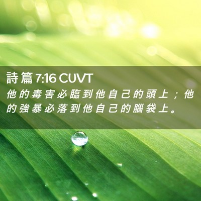 Picture 02 - 詩 篇 7:16 CUVT - 他 的 毒 害 必 臨 到 他 自 己 的 頭 - Bible Verse Picture