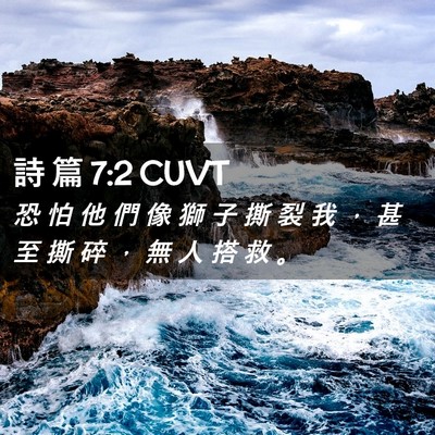 Picture 02 - 詩 篇 7:2 CUVT - 恐 怕 他 們 像 獅 子 撕 裂 我 ， 甚 - Bible Verse Picture