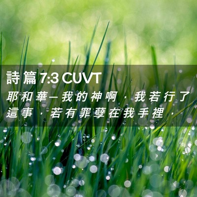 Picture 02 - 詩 篇 7:3 CUVT - 耶 和 華 ─ 我 的 神 啊 ， 我 若 行 - Bible Verse Picture