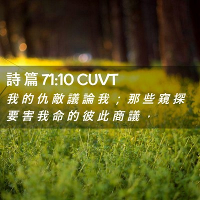 Picture 02 - 詩 篇 71:10 CUVT - 我 的 仇 敵 議 論 我 ； 那 些 窺 探 - Bible Verse Picture